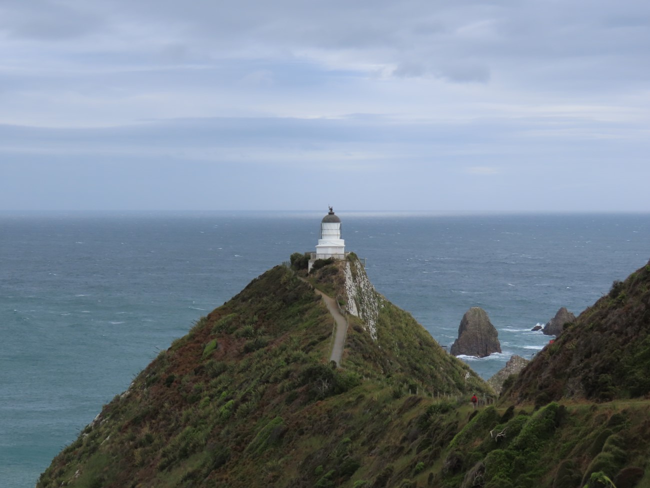 Bluff, Kaka Point og Nugget Point | Christchurch, New Zealand ...