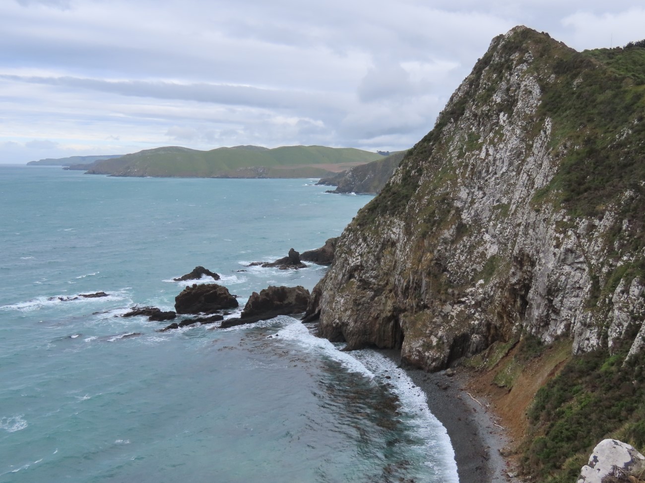 Bluff, Kaka Point og Nugget Point | Christchurch, New Zealand ...
