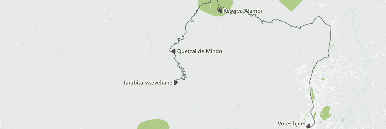 Cloud Forest og kolibrier