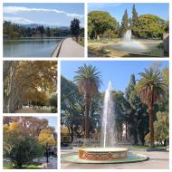 Mendoza, pladserne og træerne