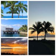 Papeete, palmer og solnedgang