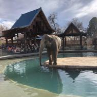 Denver Zoo