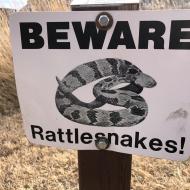 Beware of rattlesnakes
