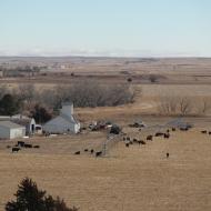 Landbrug i Kansas