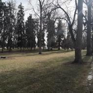 Cheesman Park