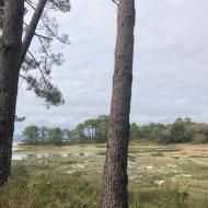 Isla de Arousa