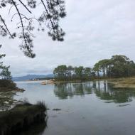 Isla de Arousa