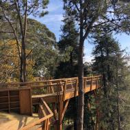 Tree top walking