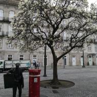 Praça da Liberdade