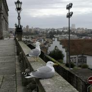 Pladsen foran Sé do Porto