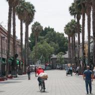 Plaza Garibaldi