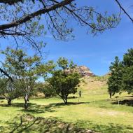 Monte Albán