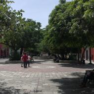 Jardín Carbajal