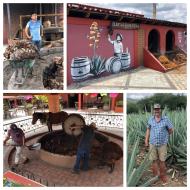 Oaxaca, mezcalproducenterne