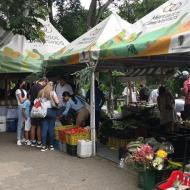 Mercados Campesinos