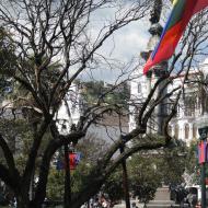 Plaza Grande