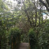 Jardín Botanico