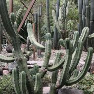 Jardín Botanico