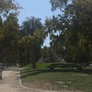 Parque Forestal