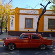 Bilerne i Mendoza