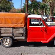 Bilerne i Mendoza