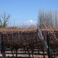 Bodega Budeguer