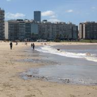 Playa de los Pocitos