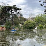 Parque Rodó