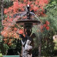 Jardín Botánico