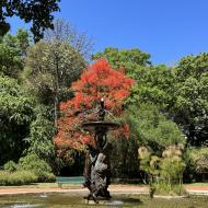 Jardín Botánico