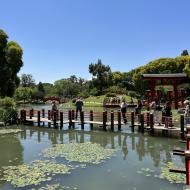 Jardín Japonés