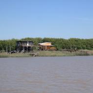 Delta del Tigre