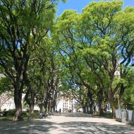 Plaza General San Martín