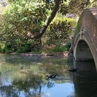 Ecoparque Buenos Aires