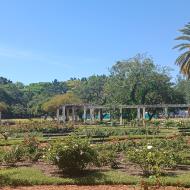 Parque El Rosedal