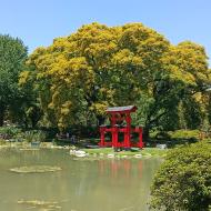 Jardín Japonés