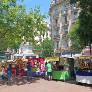 Antikvitetsmarked på Plaza Dorrega