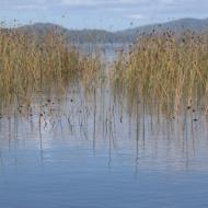 Parque Nacional Chiloé