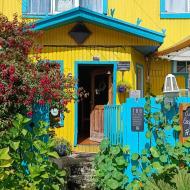 Vi ser også huse malet i kraftige klare farver