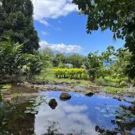 Jardin d'Eau de Vaipahi