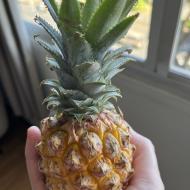 En meget lille ananas