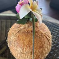 Frisk kokosnød