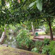 Parc Bougainville