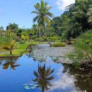 Jardin d'Eau de Vaipahi