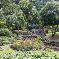 Jardin d'Eau de Vaipahi