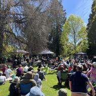 Musik i Botanisk Have