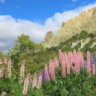 Clay Cliffs