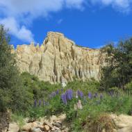 Clay Cliffs