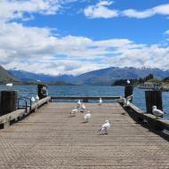 Wanaka