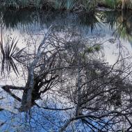 Mirror Lakes